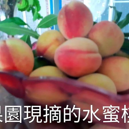Taitung Linyuan B&B Тонхэ Экстерьер фото