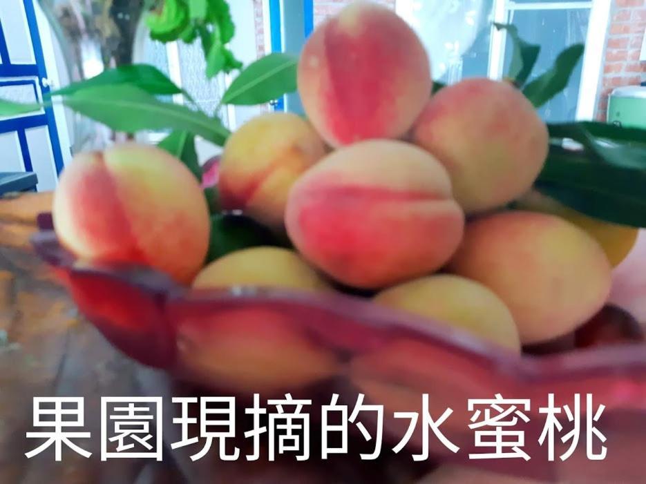 Taitung Linyuan B&B Тонхэ Экстерьер фото